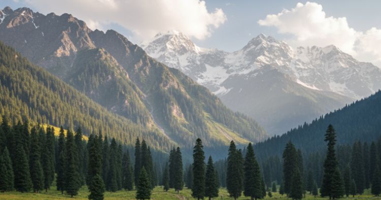 Pahalgam green meadows and rivers in Shepherd’s Valley, Kashmir