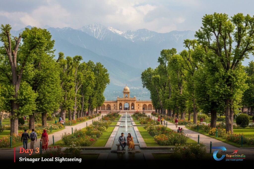srinagar-and-local-sightseeing.jpg