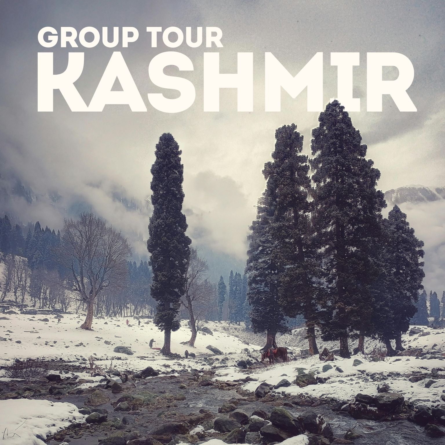 Kashmir Group Tour Package by Odyssey Travels India – Srinagar, Gulmarg, Pahalgam | Book Now for the Best Deals
