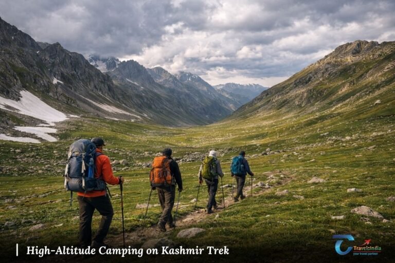 Trekkers walking through a high-altitude valley in Kashmir