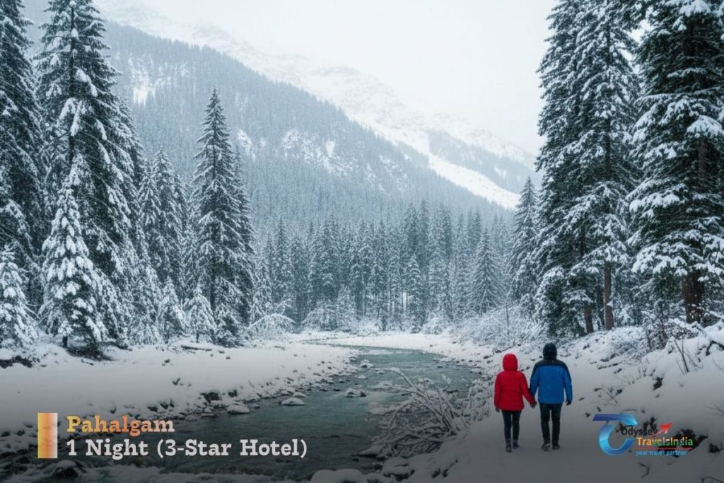 Winter landscape of Pahalgam Valley