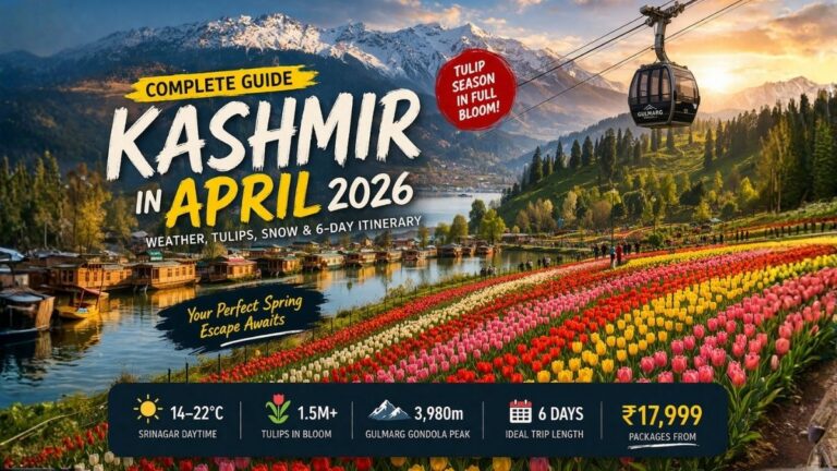 Colorful tulip garden in Srinagar with Dal Lake houseboats and snow-covered mountains in Kashmir during April spring season